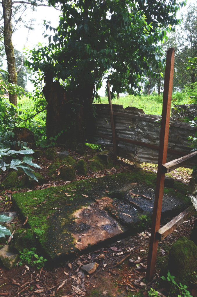 Improvement of latrines in Fundong Subdivision