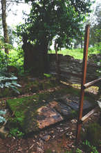 An uncovered and unhygienic latrine
