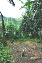 An uncovered and unhygienic latrine