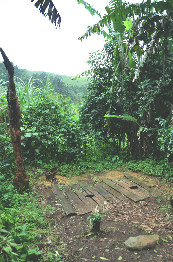 Improvement of latrines in Fundong Subdivision