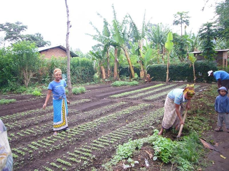 BRAC Safe Spaces & Loans for Teenage Ugandan Girls