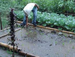 The problem: Devastating rains 6 months a year