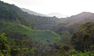 Chiapas cloud forest
