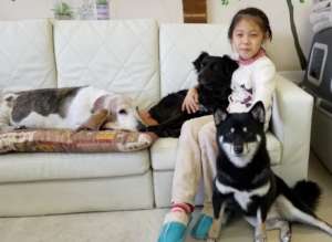 Healing & Recreation Salon for Human and Dogs