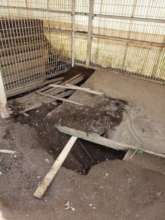 The kennels and fences are quite dilapidated.