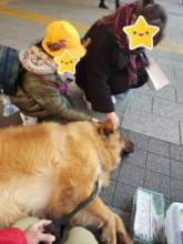 Ace that relaxes and interacts with children.