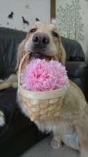 For you!