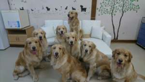 Johann and his children