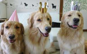 They wore cute hats for a short time