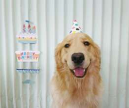 Happy Birthday!