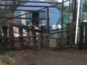 The kennels and fences are quite dilapidated.
