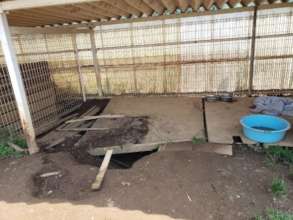 The kennels and fences are quite dilapidated.