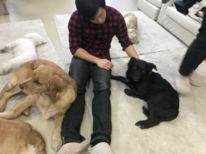 Healing & Recreation Salon for Human and Dogs