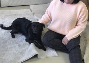 Healing & Recreation Salon for Human and Dogs
