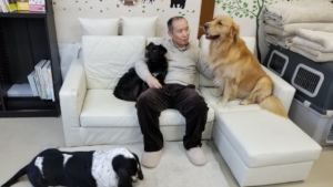 Healing & Recreation Salon for Human and Dogs