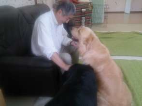Healing & Recreation Center for Human and Dogs