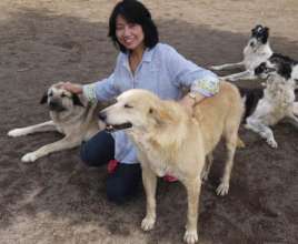 Tarcin&Tilki~turned to therapy dog from streetdog