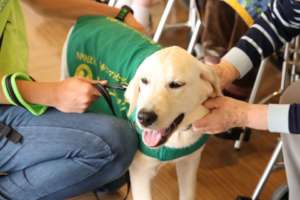 Jasper at facility