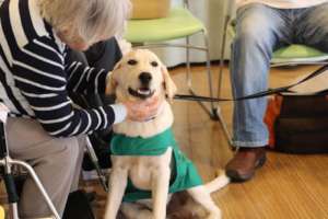 Jasper during therapy activity