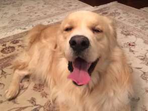 He often smiles.