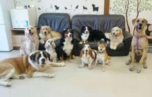 Smiling Johann with many friends
