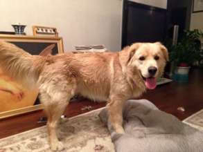 when he was rescued