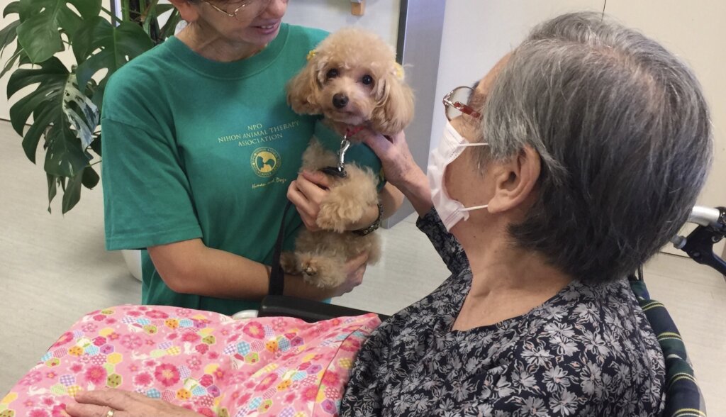 Stray Dogs become "Therapy Dogs"