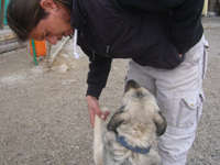 With dog trainer in Turkey.