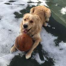 He is good at playing with balls