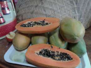 Fresh papaja from our own garden