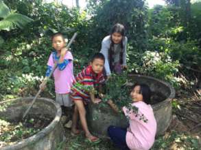 Safe Shelter's Garden