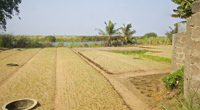 Put Solar Power to Work in rural Ghana!
