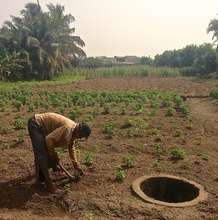 Current irrigation..buckets from wells in fields