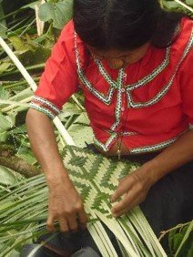 Help 25 Colombian Indigenous Women Grow Leadership
