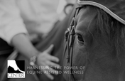 Help Harness The Power Of Equine Assisted Wellness