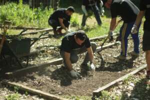 Recovering the garden together with DHL