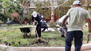 Volunteers renovating the central garden