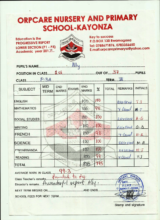 Ally's Term 3 Report Card