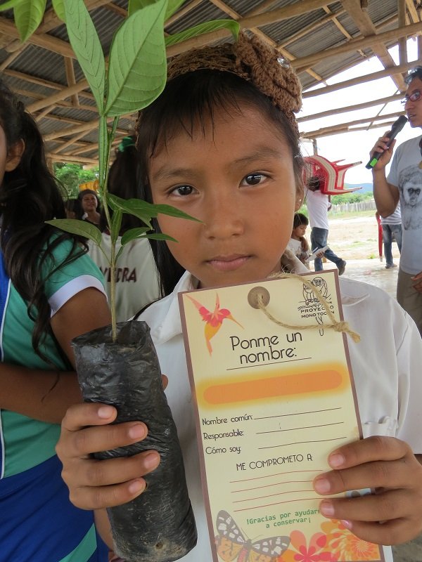 Forests for the most endangered primate in Peru
