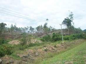 project location