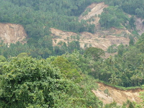 Trees Cultivation to lessen impact Global Warming