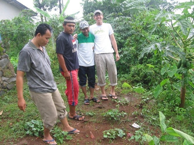 Trees Cultivation to lessen impact Global Warming