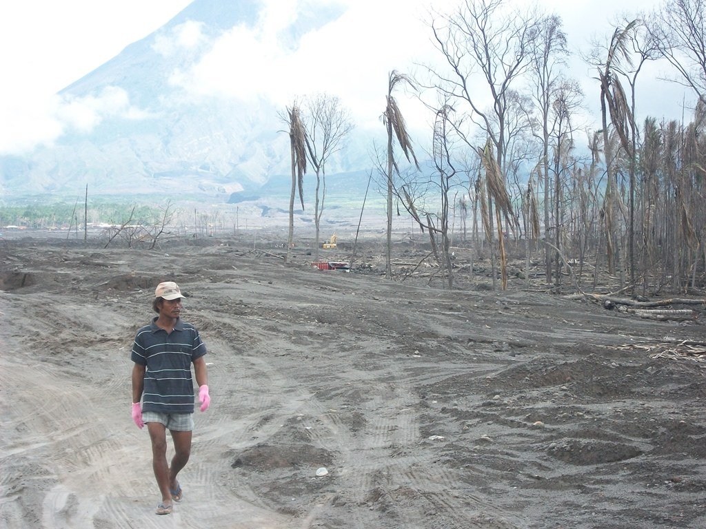 Trees Cultivation to lessen impact Global Warming