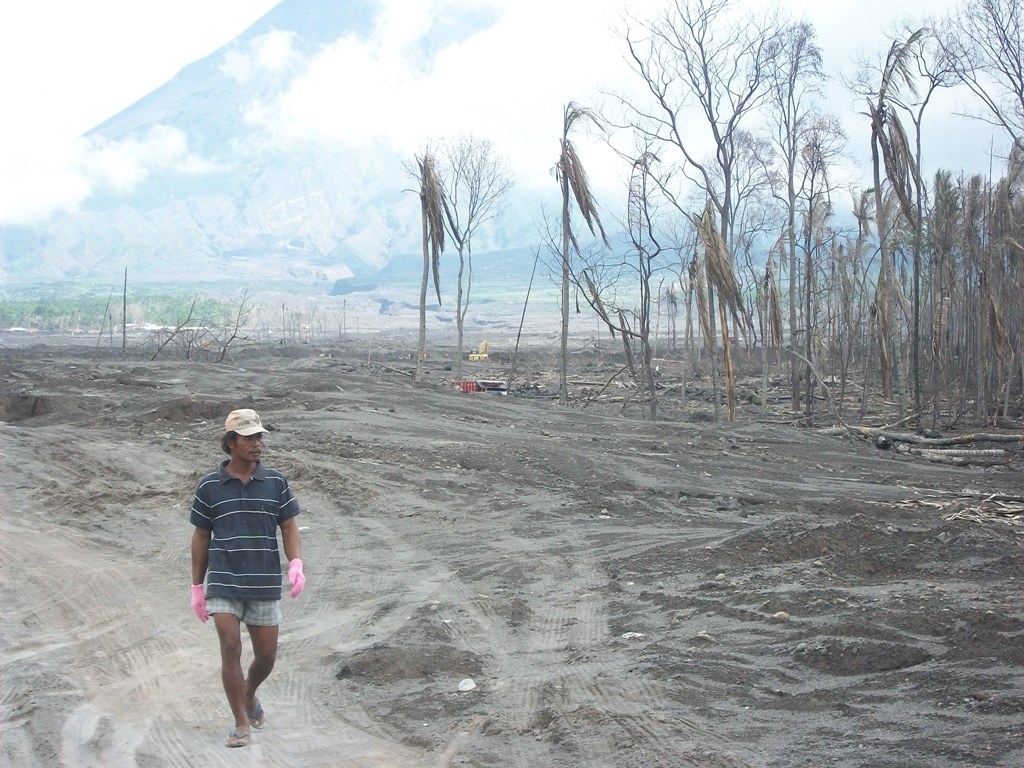 Reports on Trees Cultivation to lessen impact Global Warming GlobalGiving