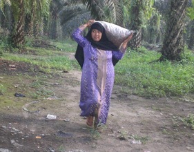 Indonesian Poor Women