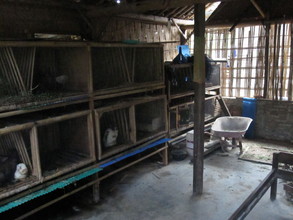 Rabbit rearing in the area meant for teaching