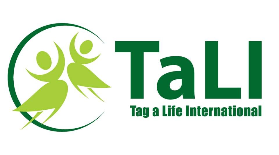 Our Logo, In protection of our Girls Integrity