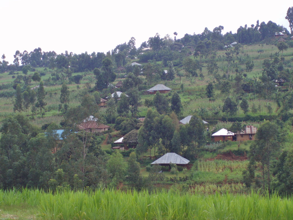 Empower Orphans in Kenya with a Quality Education