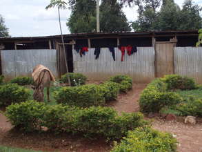 Our classrooms