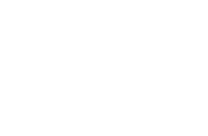 Amur Falcon Pro